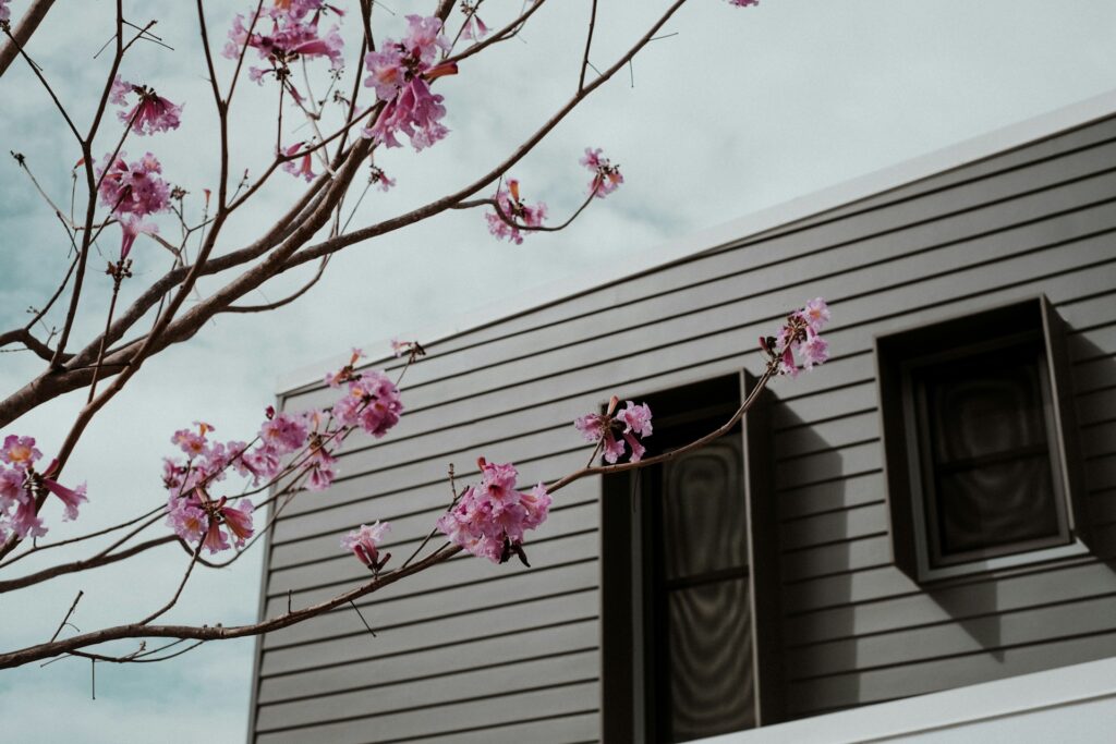 Spring tree next to tinted window house